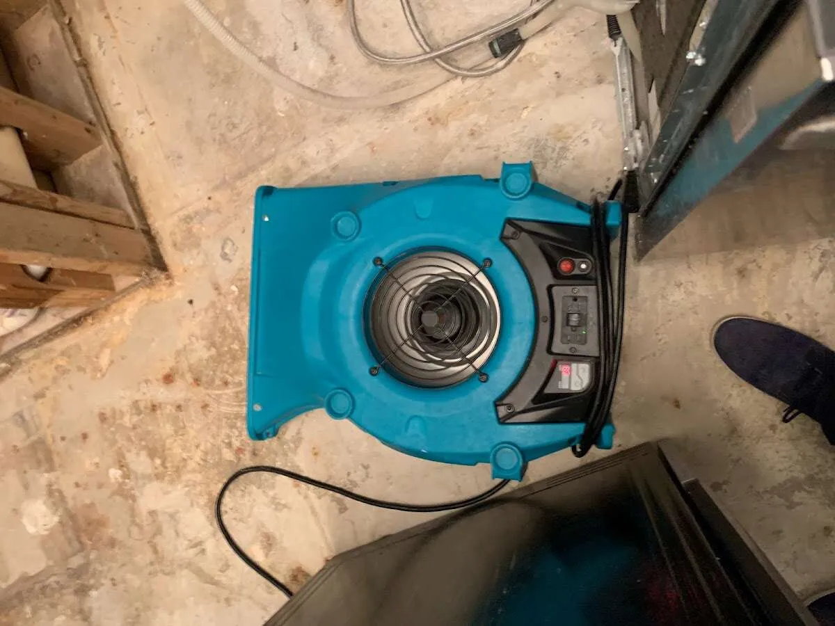 Air mover drying equipment for Mold Remediation & Removal in Wauconda